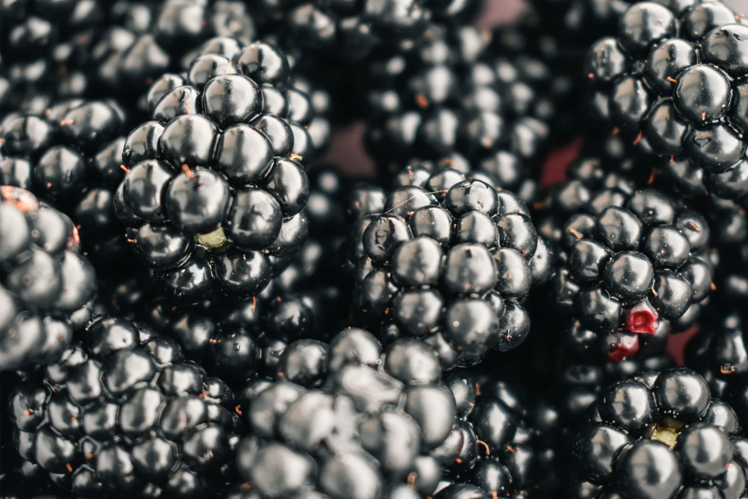 Close-up view of fresh, juicy blackberries showcasing texture and detail. Perfect for food and natur jigsaw puzzle