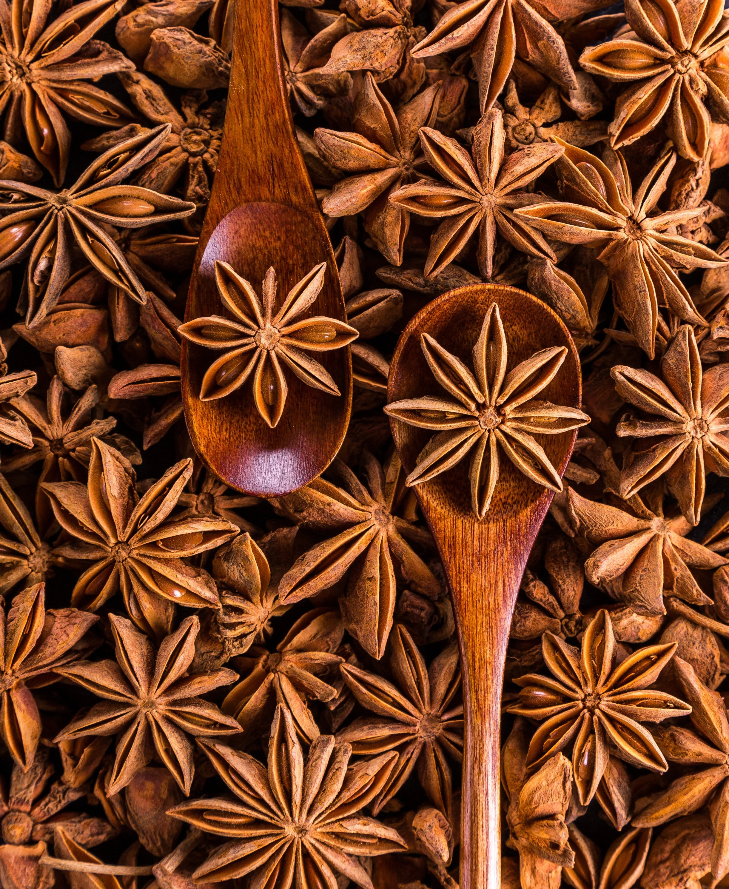 star anise jigsaw puzzle