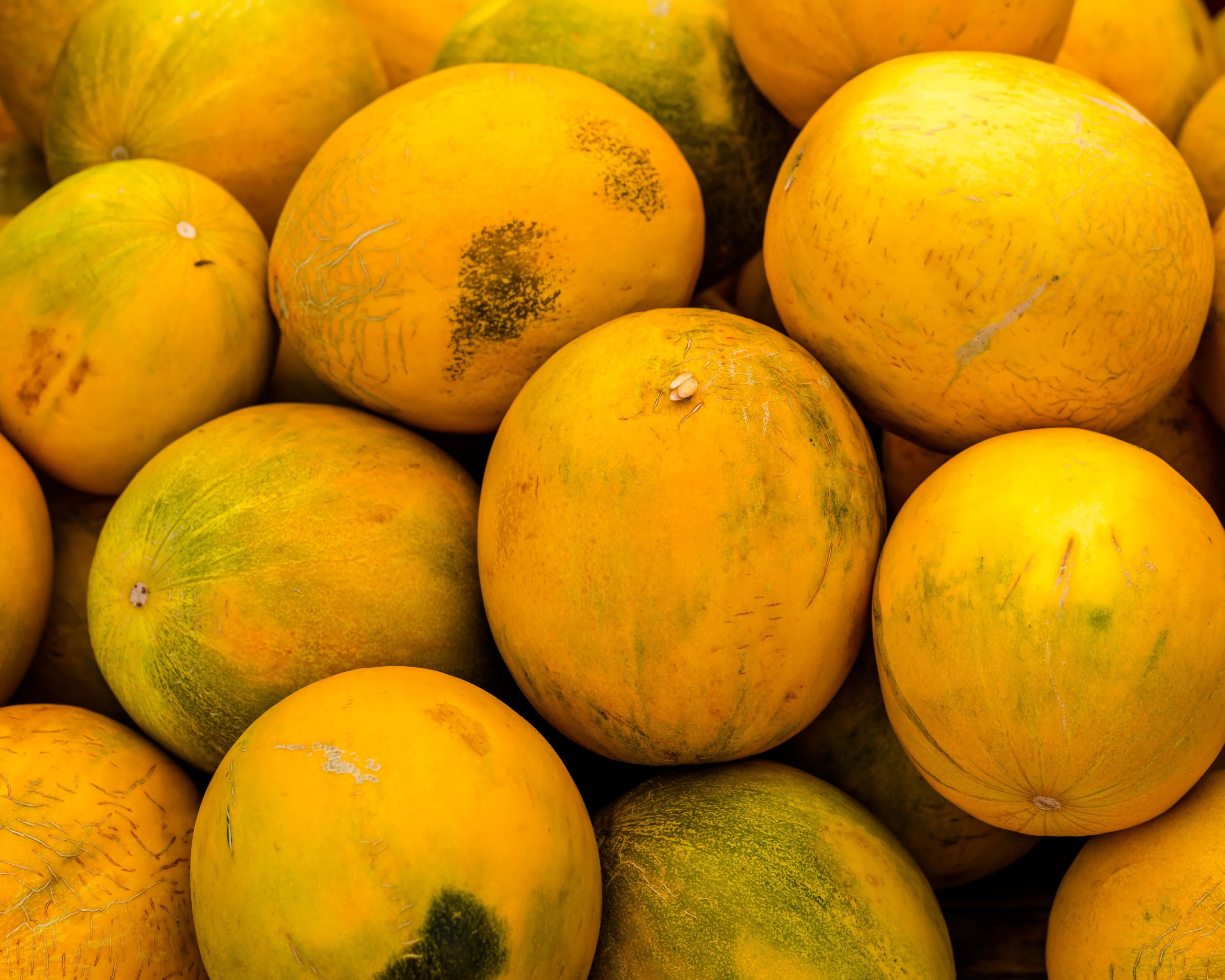 melons jigsaw puzzle