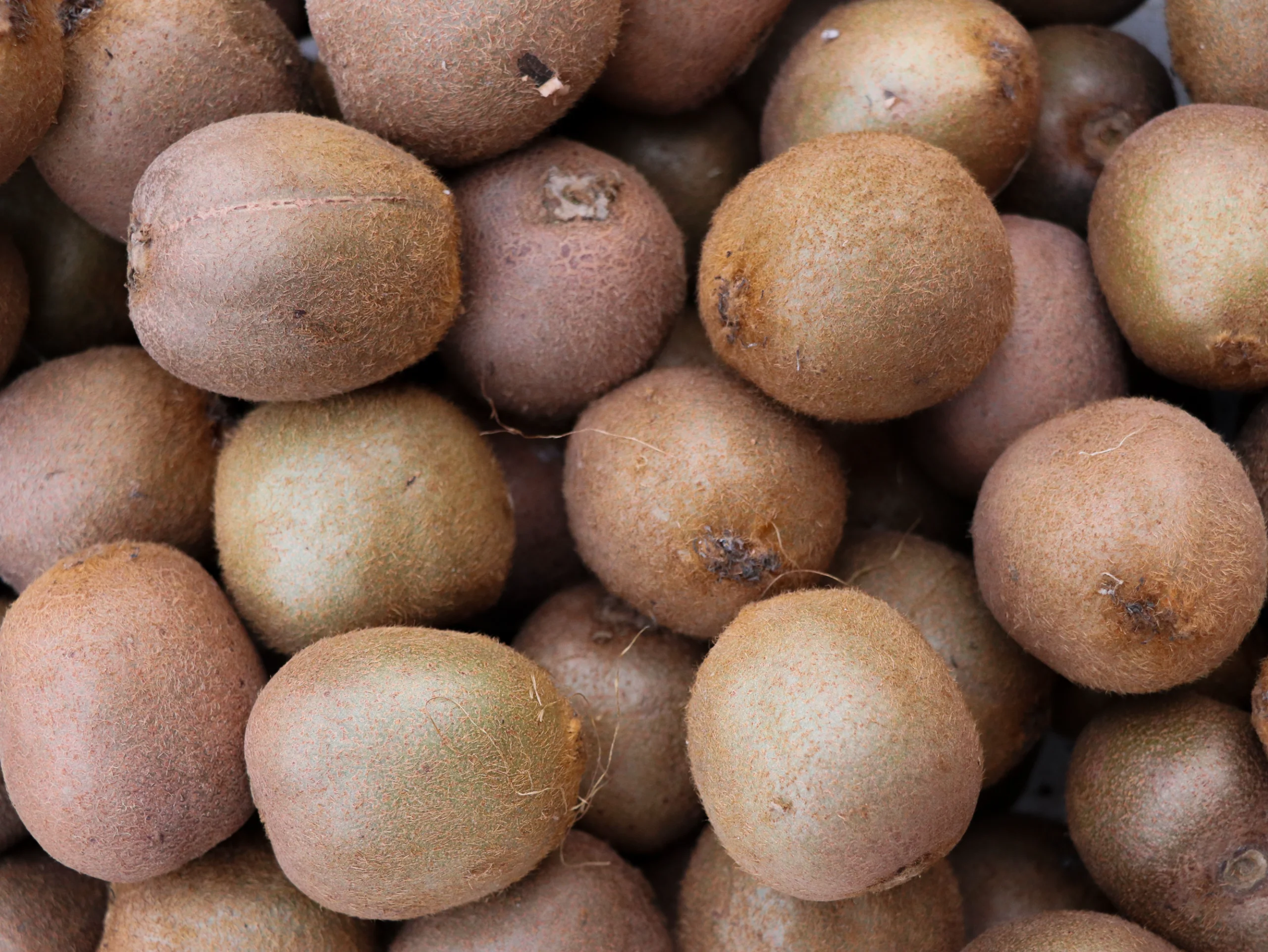 A vibrant assortment of ripe kiwi fruits, showcasing texture and natural color. jigsaw puzzle