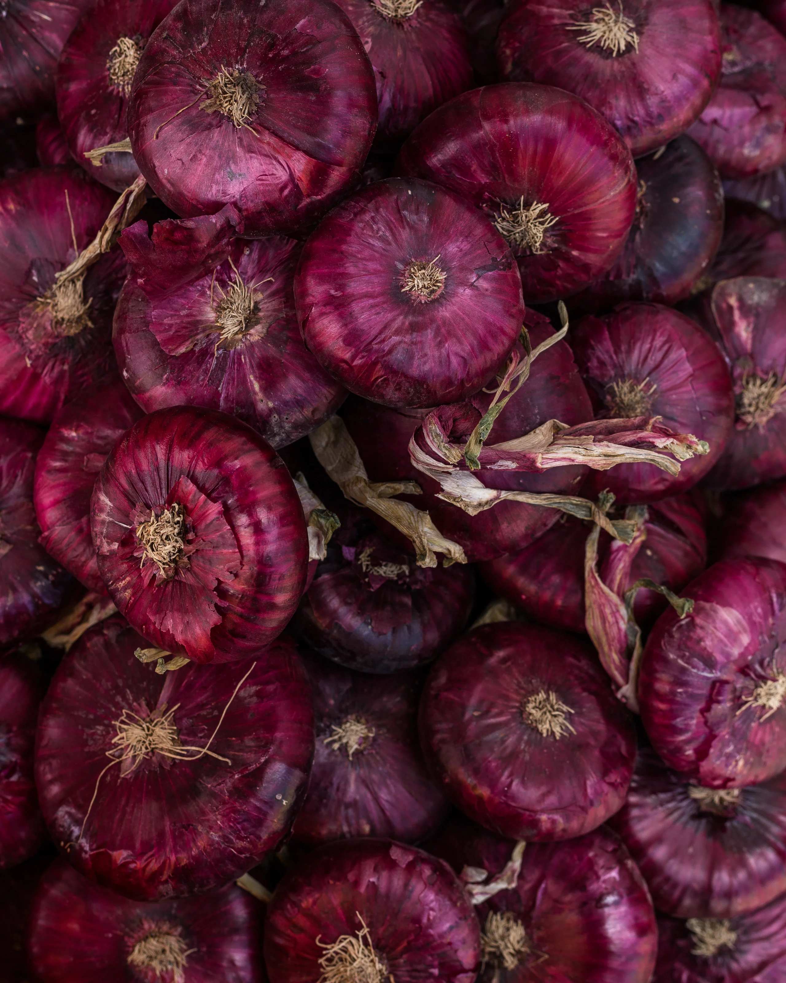 onions jigsaw puzzle